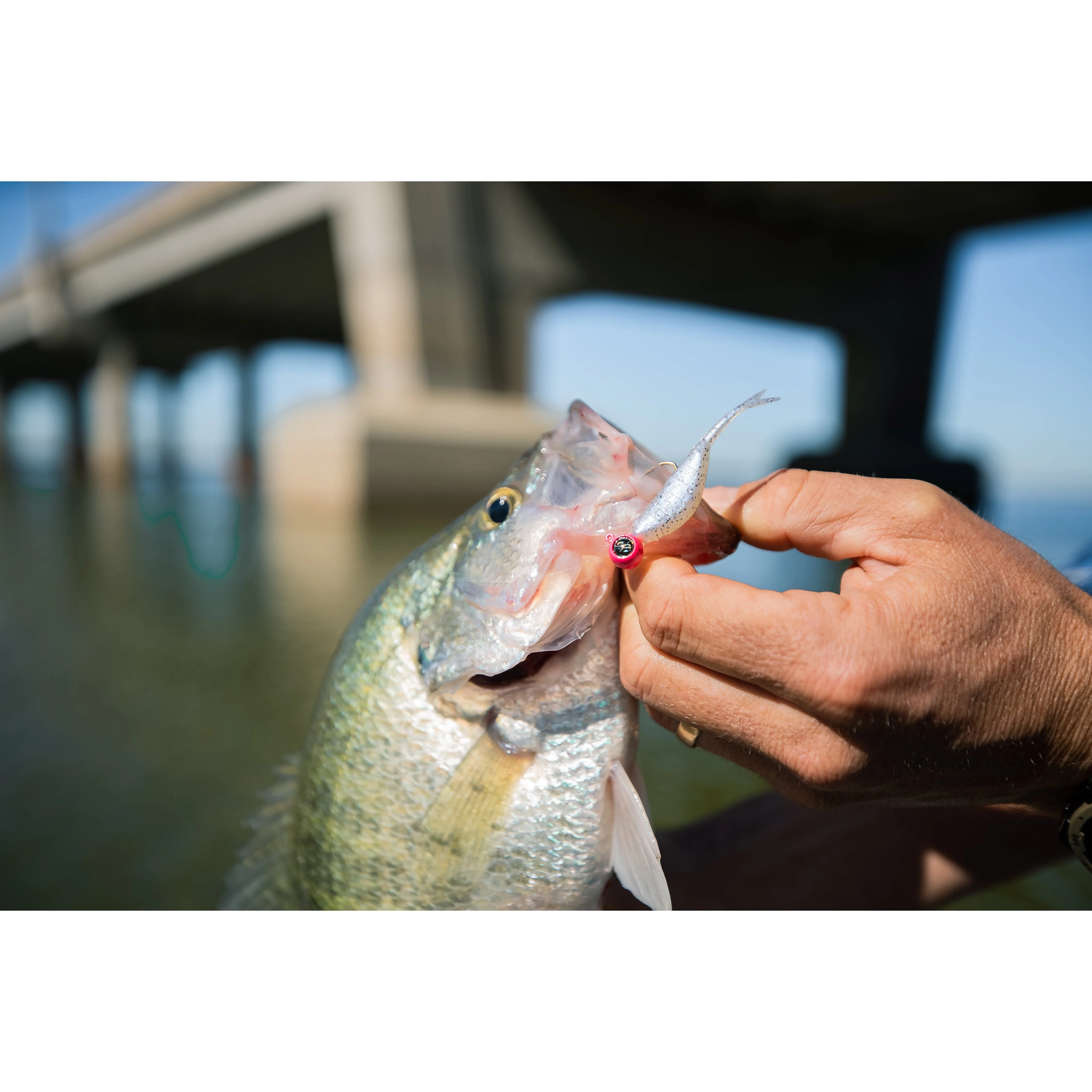 Dangle Dart - Image 9