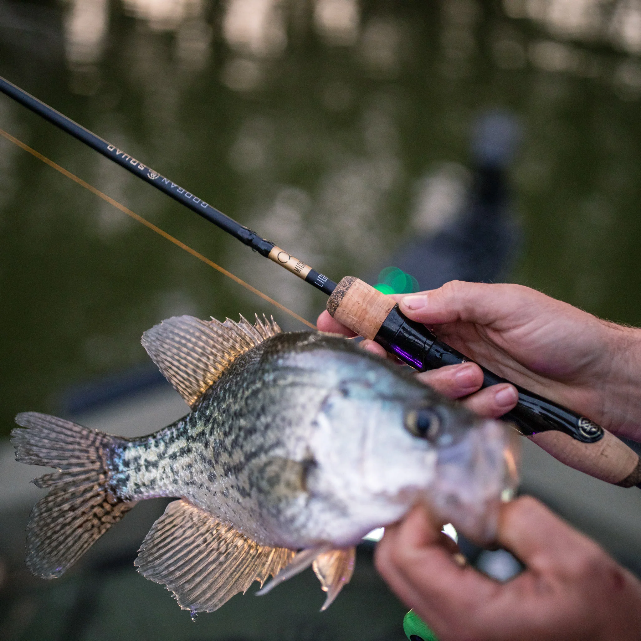 Gold Series Micro Light Spinning Rod - Image 13