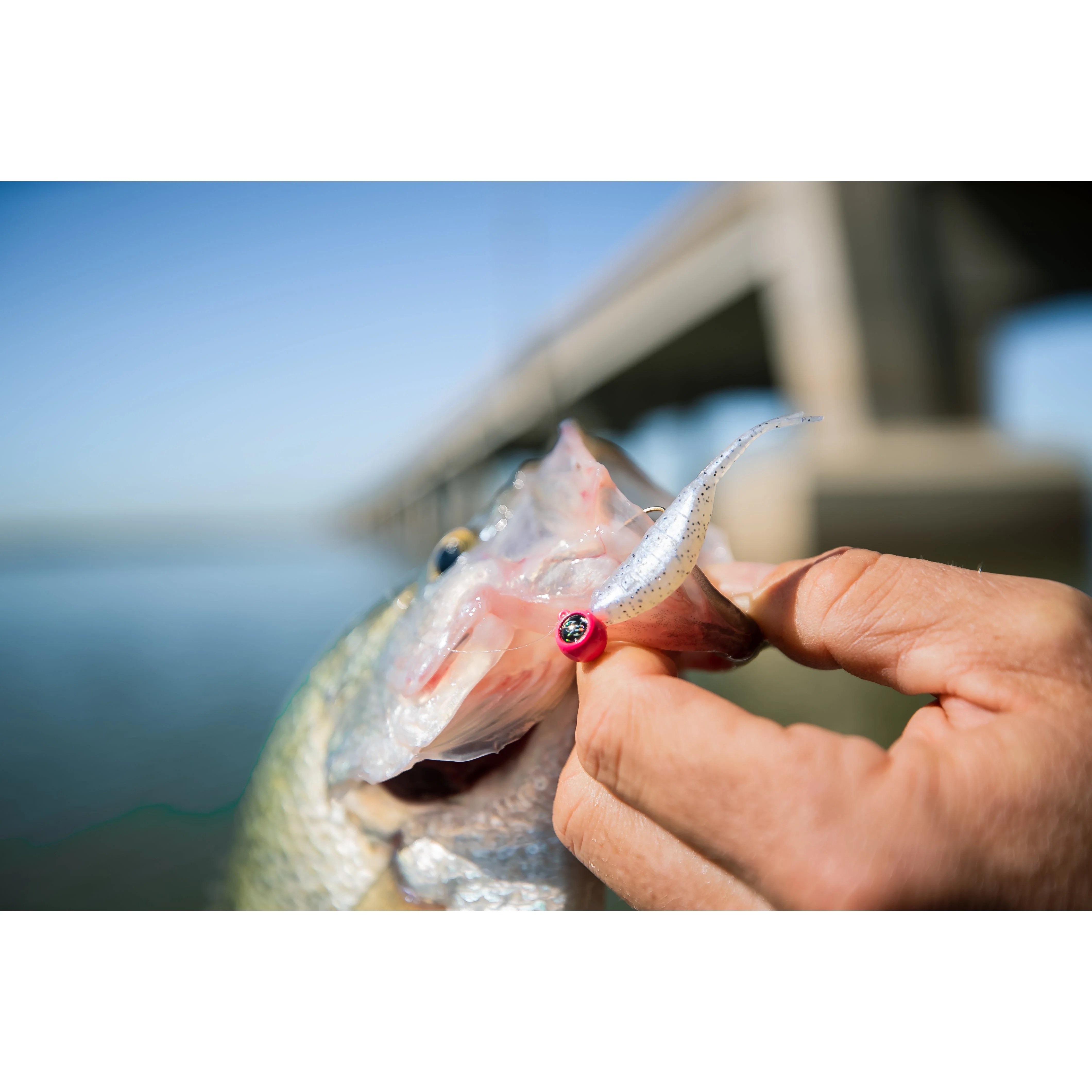 Crappie Jigs - Image 11