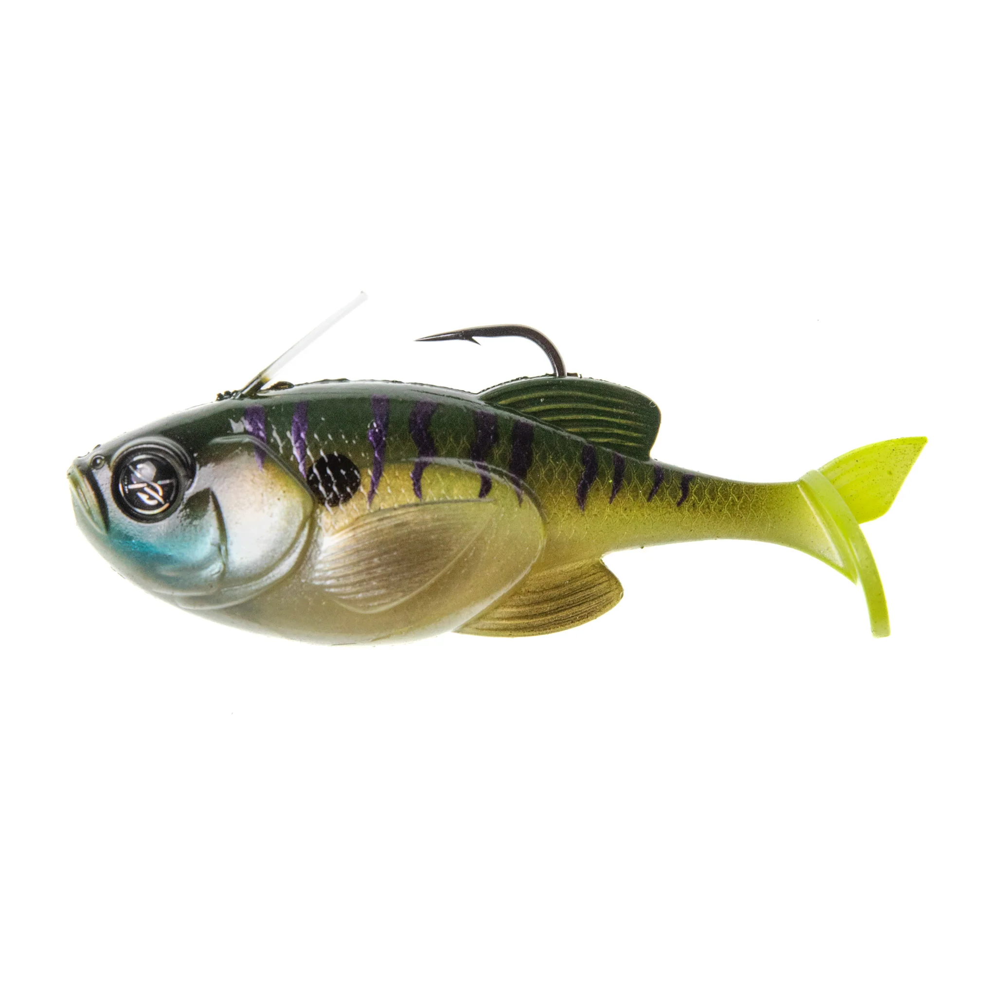 Guppy 3.8" - Image 5