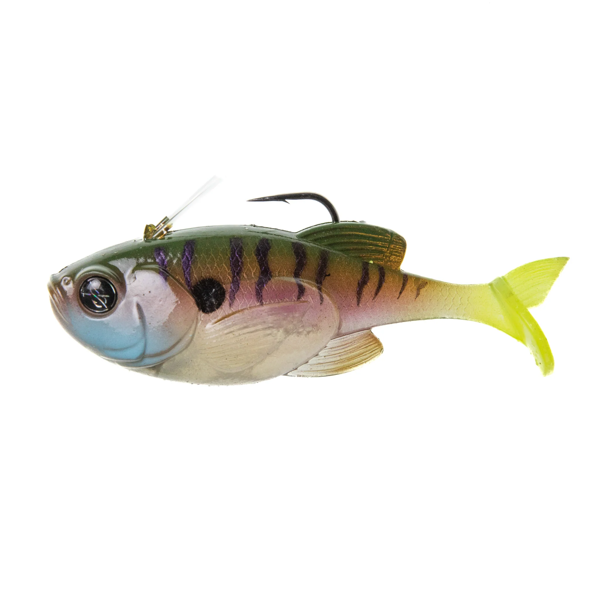 Guppy 3.8" - Image 6