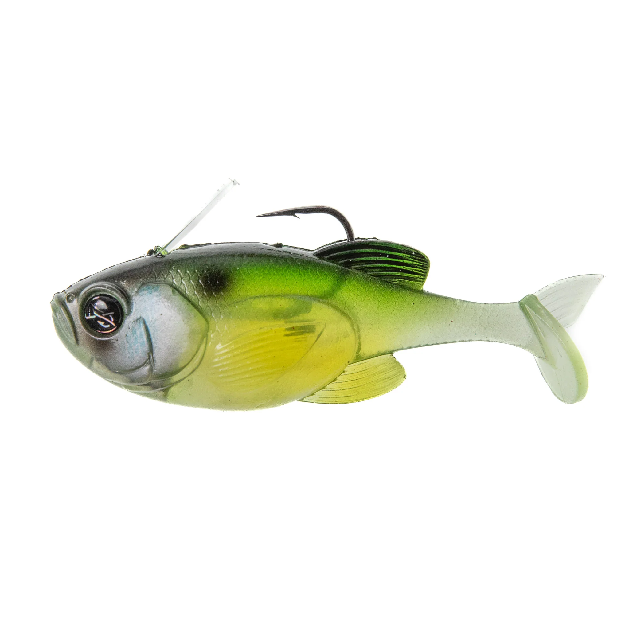 Guppy 3.8" - Image 8