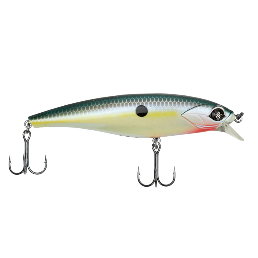 Jr. Scout - Image 7
