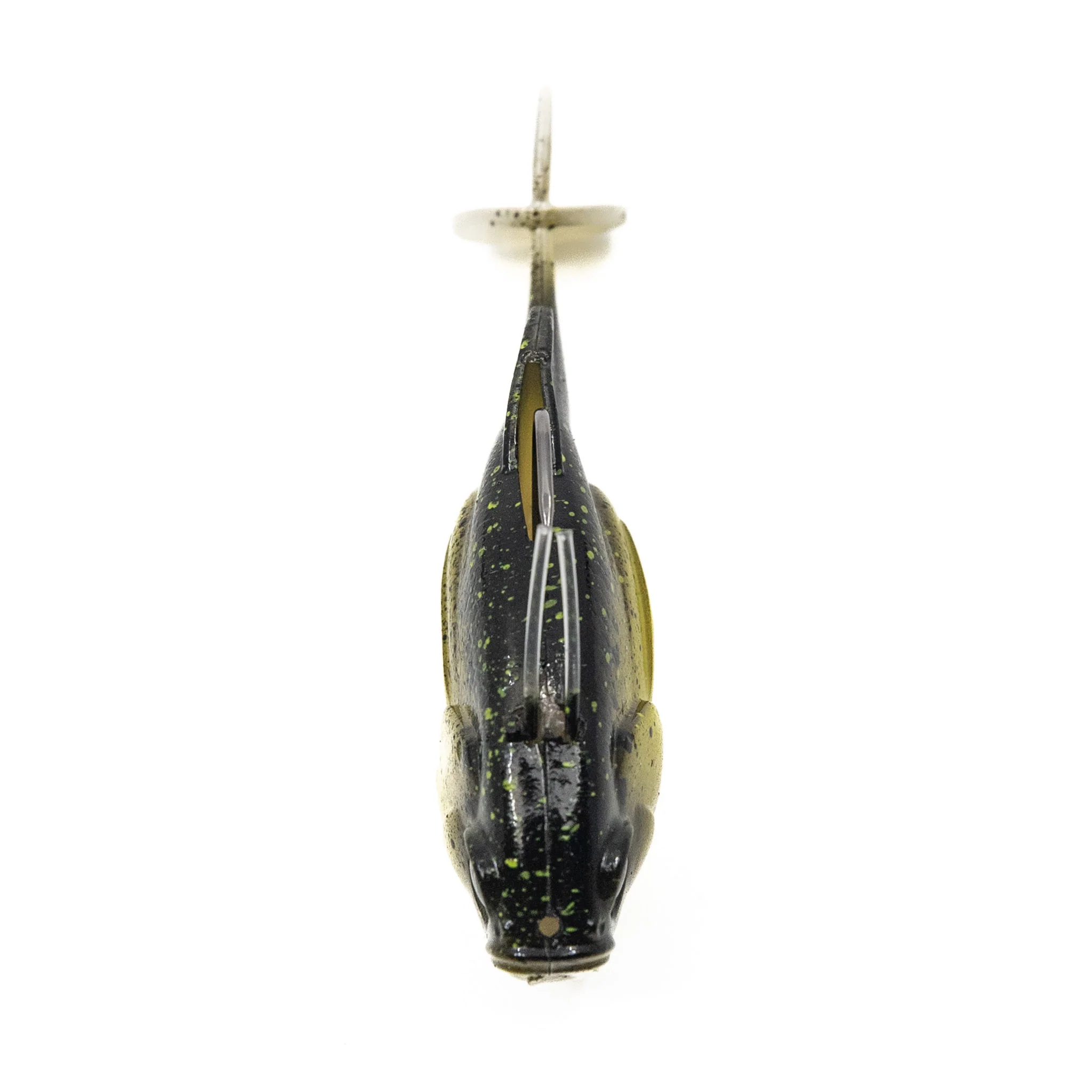 Reserve Guppy - Image 5