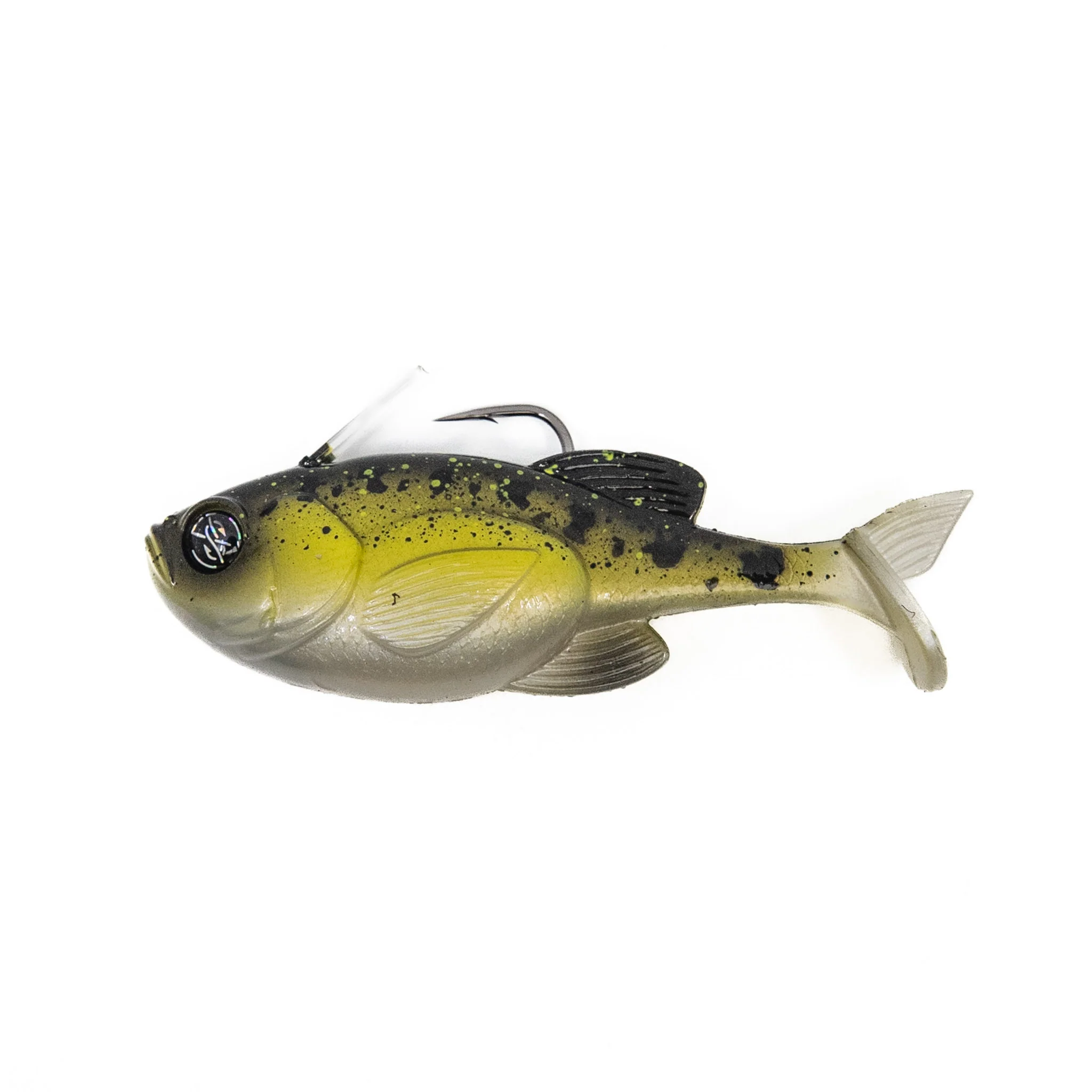 Reserve Guppy - Image 6