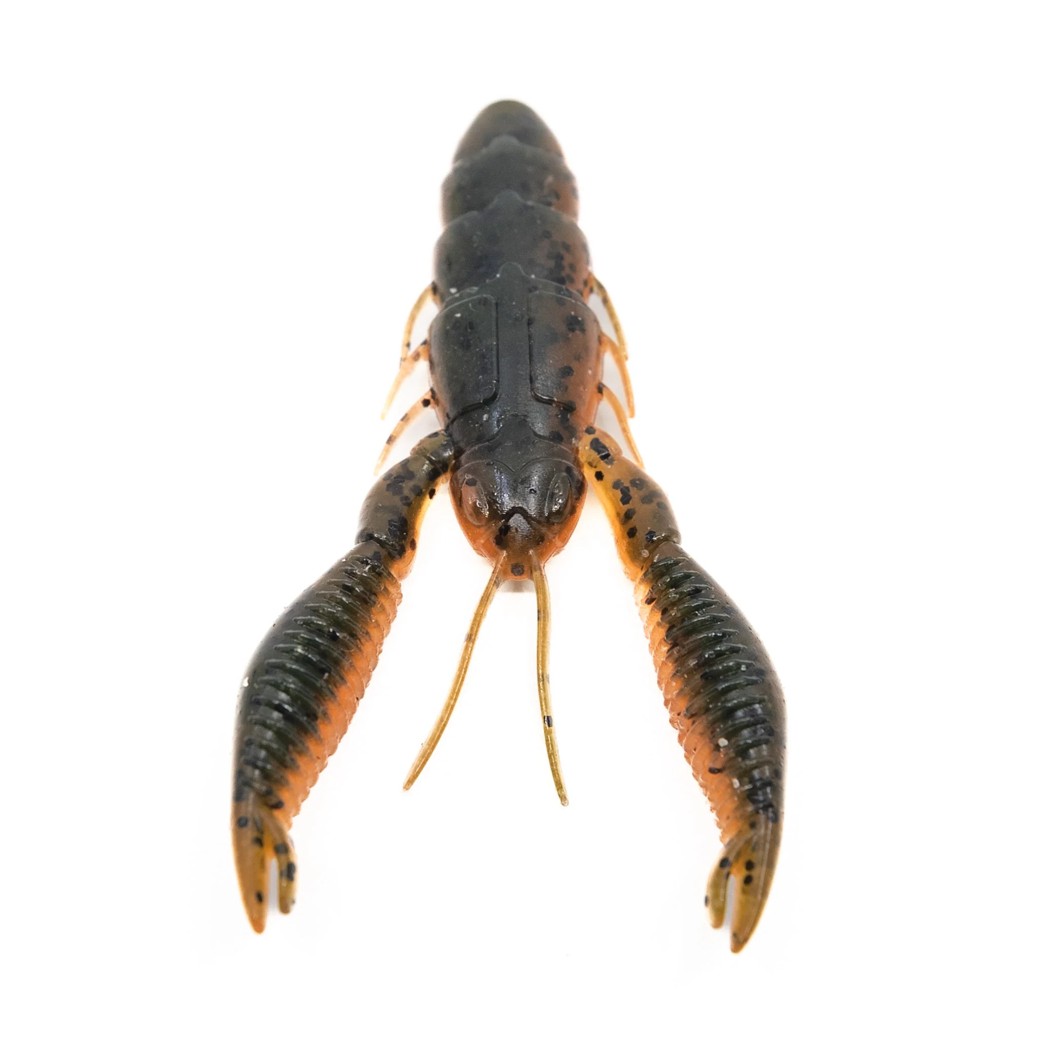 Tuggin' Bug - Image 4