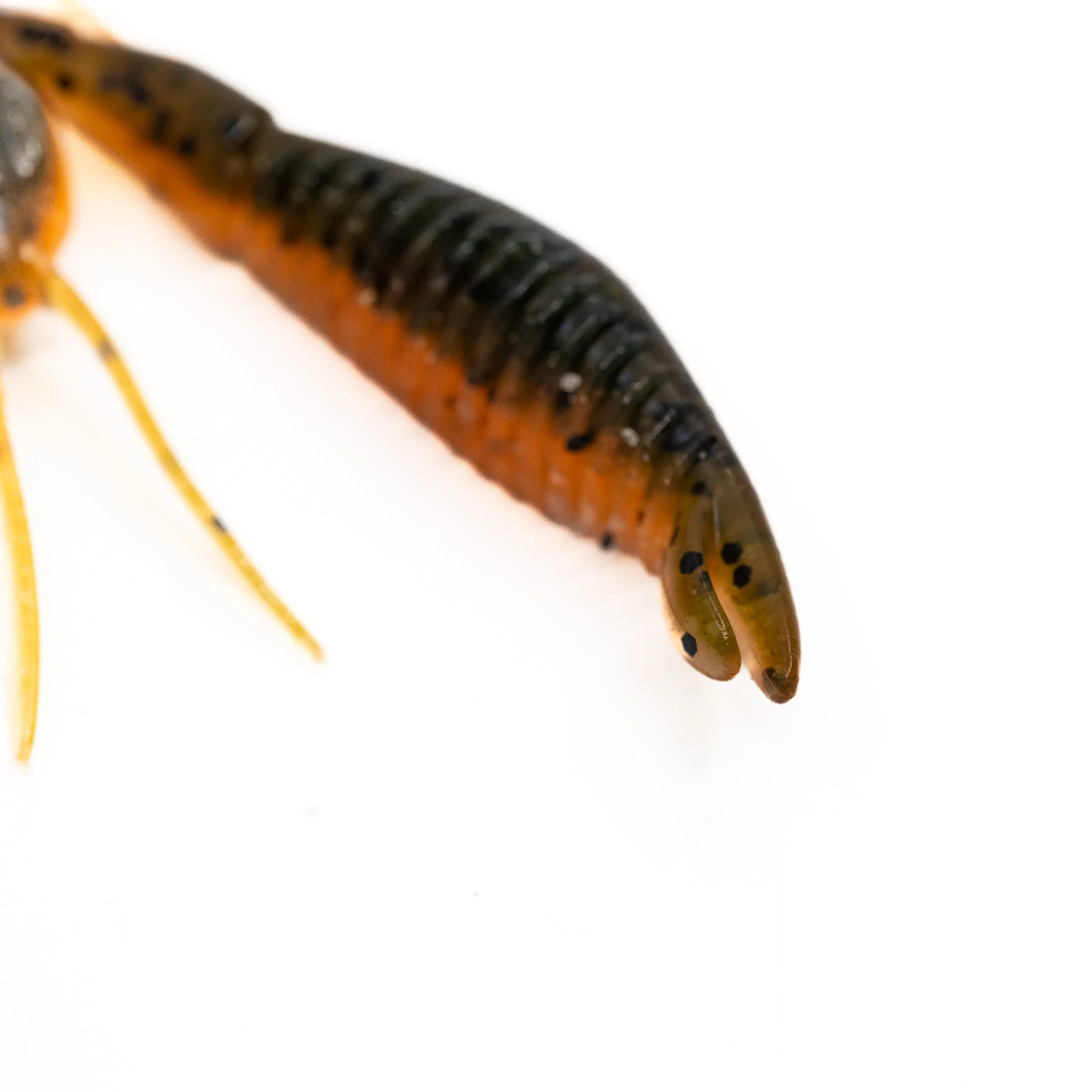 Tuggin' Bug - Image 5